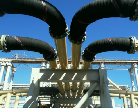 5617831fe8fe5e7837f7517a44a3bf79